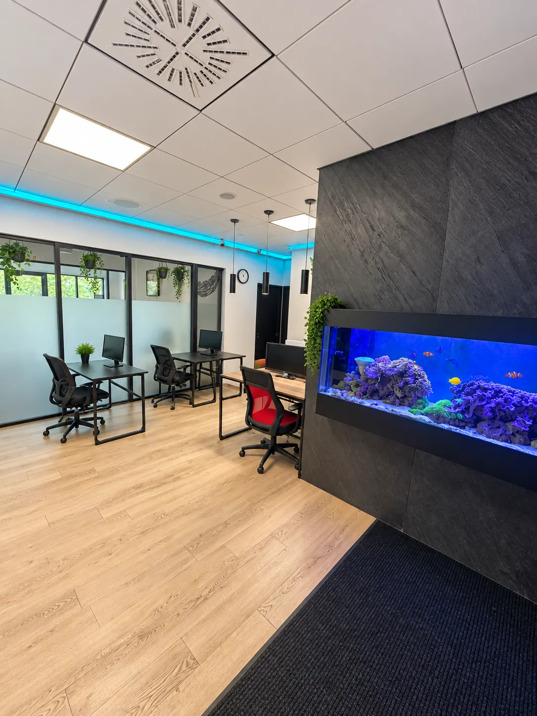 Private office 107-1 at 2727 Coworking, Griffintown: built-in reef aquarium in a dark slate wall, with desks and frosted glass partitions beyond.